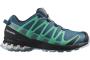 Salomon XA PRO 3D v8 Gore-tex - 